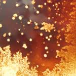 Altogen Crude Oil Bioremediation Services Texas USA